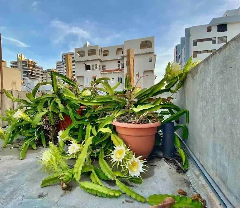 Fresh Tropical Colonial Style Walk-Up- Rooftop Terrace- Beach View 圣胡安